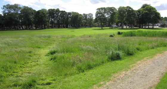 Bridge Farm Campsite: Peaceful Family Camping in Rainford with Café & Countryside Views