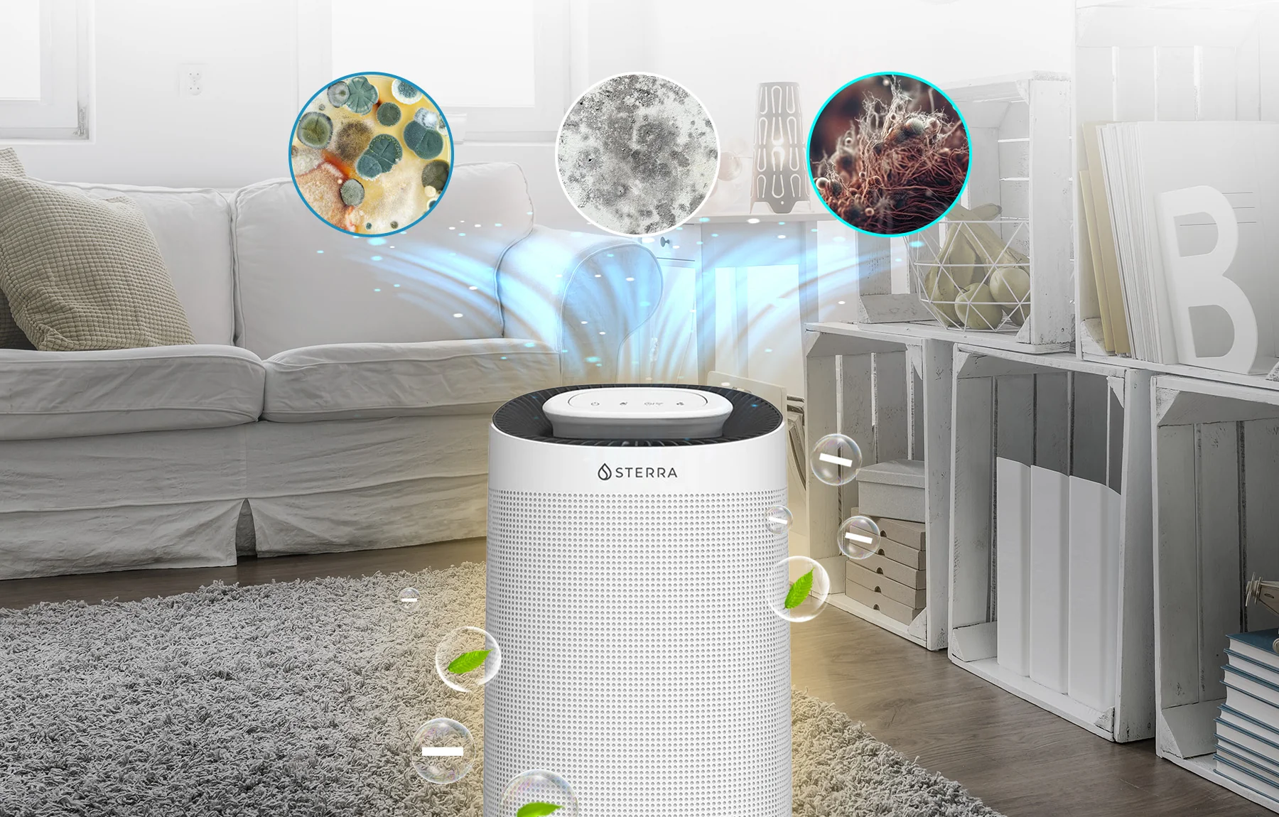 Best Dehumidifier UK 2025 – Top Picks, Deals & Reviews