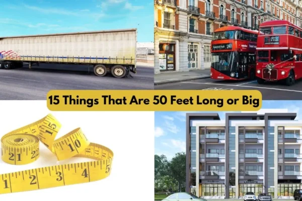 50 Feet Visualized: How Long Is It in Everyday Objects and More 50 Feet Visualized