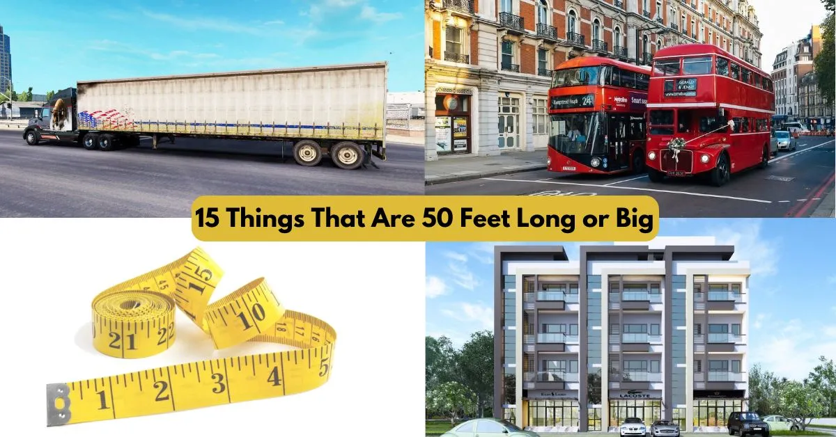 50 Feet Visualized: How Long Is It in Everyday Objects and More 50 Feet Visualized