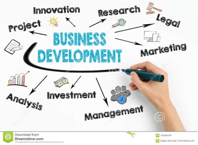 Business Development Manager Job Description, Skills & Career Guide: Everything You Need to Know