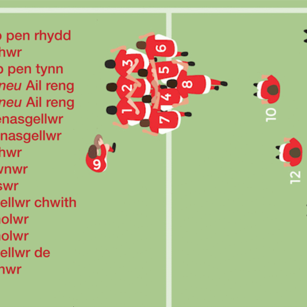 Rugby Positions