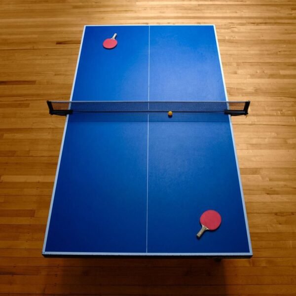 Table Tennis Table