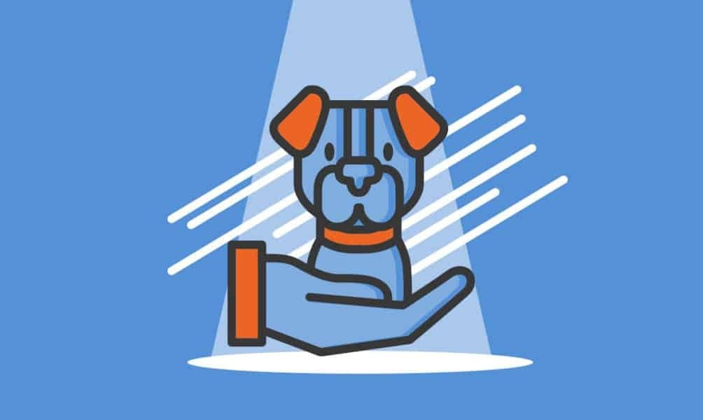 What Entrepreneurs Need to Know About Starting a Pet Breeding Business